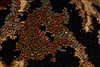 Jaipur Red Square Hand Knotted 40 X 40 Area Rug 250-28332 Thumb 7