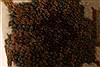 Jaipur Black Hand Knotted 30 X 50 Area Rug 250-28350 Thumb 6