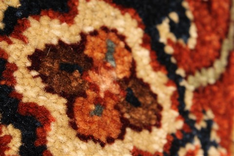 Serapi Beige Hand Knotted 40 X 60 Area Rug 250-28382 Image 7