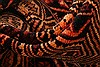Baluch Brown Hand Knotted 211 X 49 Area Rug 253-28383 Thumb 1