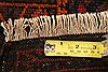 Baluch Orange Hand Knotted 30 X 47 Area Rug 253-28391 Thumb 4