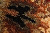 Jaipur Black Runner Hand Knotted 40 X 159 Area Rug 250-28415 Thumb 7