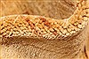 Modern Beige Hand Knotted 56 X 83 Area Rug 250-28493 Thumb 7