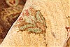 Pishavar Beige Hand Knotted 120 X 1410 Area Rug 250-28509 Thumb 10