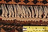 Baluch Beige Hand Knotted 211 X 48 Area Rug 253-28531 Thumb 3