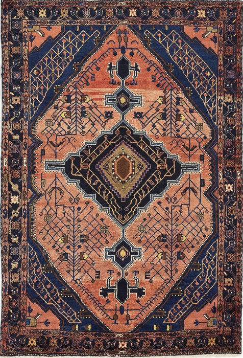 Hamedan Red Hand Knotted 45 X 70  Area Rug 500-28546 Image 0