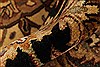 Kashmar Beige Hand Knotted 1110 X 151 Area Rug 250-28578 Thumb 8