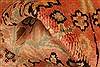 Mahal Red Hand Knotted 67 X 1010 Area Rug 100-28616 Thumb 1
