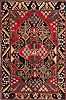 Hamedan Red Hand Knotted 44 X 66  Area Rug 500-28640 Thumb 0