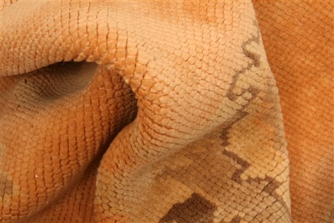 Oushak Orange Hand Knotted 83 X 123 Area Rug 100-28712 Image 1
