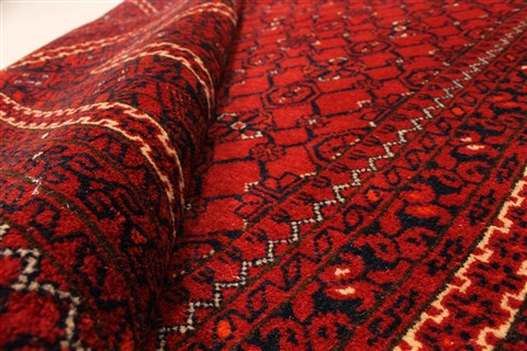 Turkman Blue Hand Knotted 310 X 510 Area Rug 250-28764 Image 7