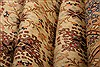 Kayseri Orange Hand Knotted 80 X 114 Area Rug 100-28840 Thumb 3