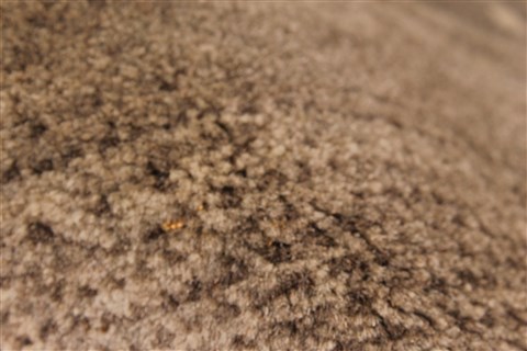 Gabbeh Grey Hand Knotted 27 X 42 Area Rug 250-28947 Image 3