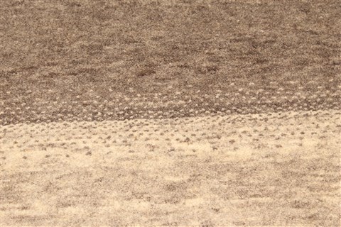 Gabbeh Grey Hand Knotted 27 X 42 Area Rug 250-28947 Image 7