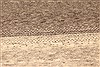 Gabbeh Grey Hand Knotted 27 X 42 Area Rug 250-28947 Thumb 7