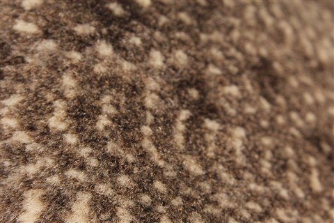Gabbeh Grey Hand Knotted 27 X 42 Area Rug 250-28953 Image 5