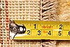 Pishavar Beige Hand Knotted 28 X 43 Area Rug 250-28999 Thumb 5