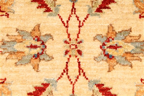 Pishavar Beige Hand Knotted 29 X 41 Area Rug 250-29006 Image 2