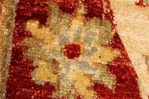 Pishavar Beige Hand Knotted 29 X 41 Area Rug 250-29006 Image 6