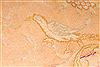 Tabriz Beige Round Hand Knotted 100 X 100  Area Rug 254-29105 Thumb 4