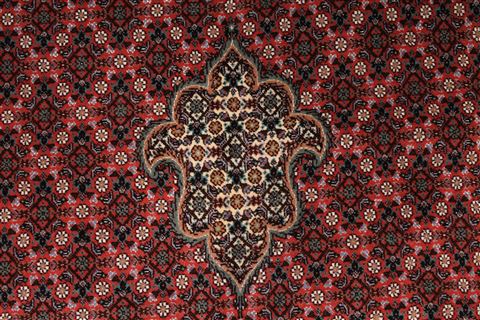Mahi Beige Hand Knotted 69 X 910 Area Rug 254-29107 Image 4