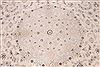 Nain White Hand Knotted 910 X 132 Area Rug 254-29193 Thumb 6