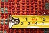 Gabbeh Red Hand Knotted 70 X 164 Area Rug 250-29279 Thumb 1