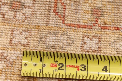 Ziegler Beige Hand Knotted 119 X 183 Area Rug 254-29412 Image 8