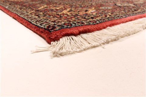 Bidjar Red Square Hand Knotted 610 X 82 Area Rug 250-29429 Image 5