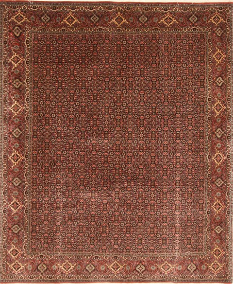 Bidjar Red Square Hand Knotted 610 X 82 Area Rug 250-29429 Image 0