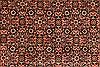 Bidjar Red Square Hand Knotted 610 X 82 Area Rug 250-29429 Thumb 7