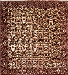 Indian Bidjar Beige Square 9 ft and Larger Wool Carpet 29430