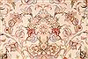 Tabriz Beige Hand Knotted 50 X 610 Area Rug 254-29525 Thumb 6