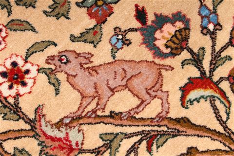 Tabriz Brown Hand Knotted 47 X 67 Area Rug 254-29531 Image 4