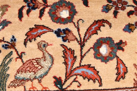 Tabriz Brown Hand Knotted 47 X 67 Area Rug 254-29531 Image 7
