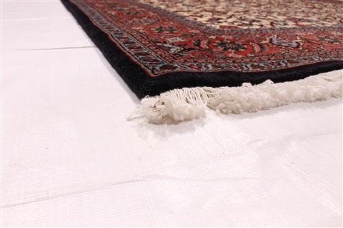 Bidjar Beige Hand Knotted 45 X 67 Area Rug 254-29544 Image 1