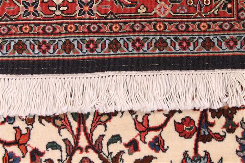 Bidjar Beige Hand Knotted 45 X 67 Area Rug 254-29544 Image 6