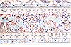 Nain Blue Hand Knotted 610 X 117 Area Rug 254-29588 Thumb 4
