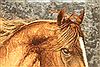 Tabriz Brown Hand Knotted 24 X 30 Area Rug 254-29678 Thumb 3