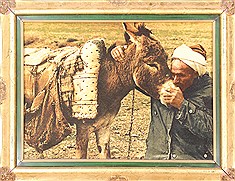Persian Tabriz Brown Rectangle 2x3 ft Wool Carpet 29682