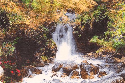 Tabriz Multicolor Hand Knotted 26 X 33  Area Rug 254-29692 Image 1