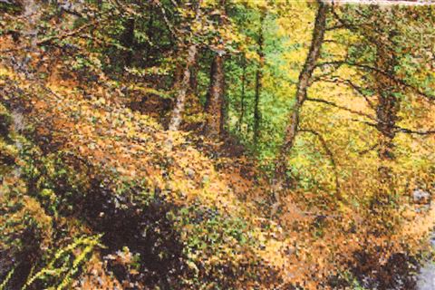 Tabriz Multicolor Hand Knotted 26 X 33  Area Rug 254-29692 Image 4