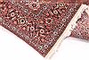 Bidjar Beige Hand Knotted 67 X 1310  Area Rug 254-29698 Thumb 9