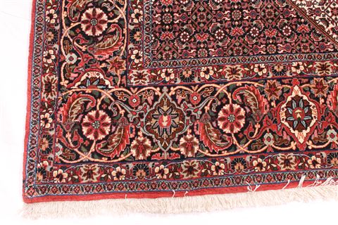 Bidjar Beige Hand Knotted 100 X 1210 Area Rug 254-29708 Image 2
