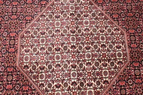 Bidjar Beige Hand Knotted 100 X 1210 Area Rug 254-29708 Image 3