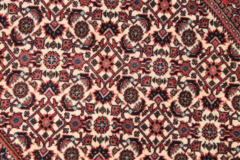 Bidjar Beige Hand Knotted 100 X 1210 Area Rug 254-29708 Image 6
