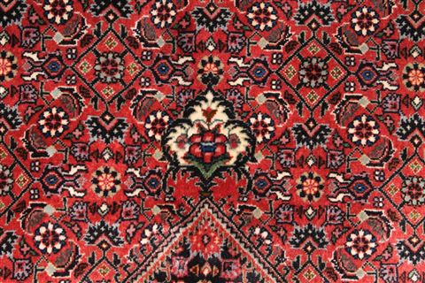 Bidjar Beige Hand Knotted 100 X 1210 Area Rug 254-29708 Image 7