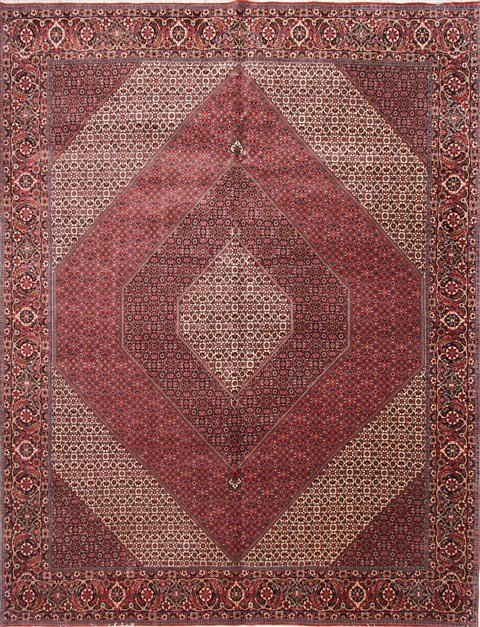 Bidjar Beige Hand Knotted 100 X 1210 Area Rug 254-29708 Image 0