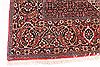Bidjar Beige Hand Knotted 100 X 1210 Area Rug 254-29708 Thumb 2