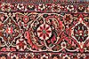 Bidjar Beige Hand Knotted 100 X 1210 Area Rug 254-29708 Thumb 5